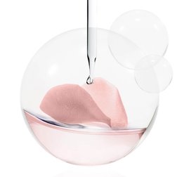 PEONY POLYPHENOLS