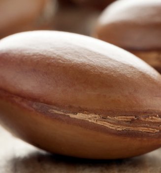 Back To The Future Traditional Active Ingredients That Still Amaze Article