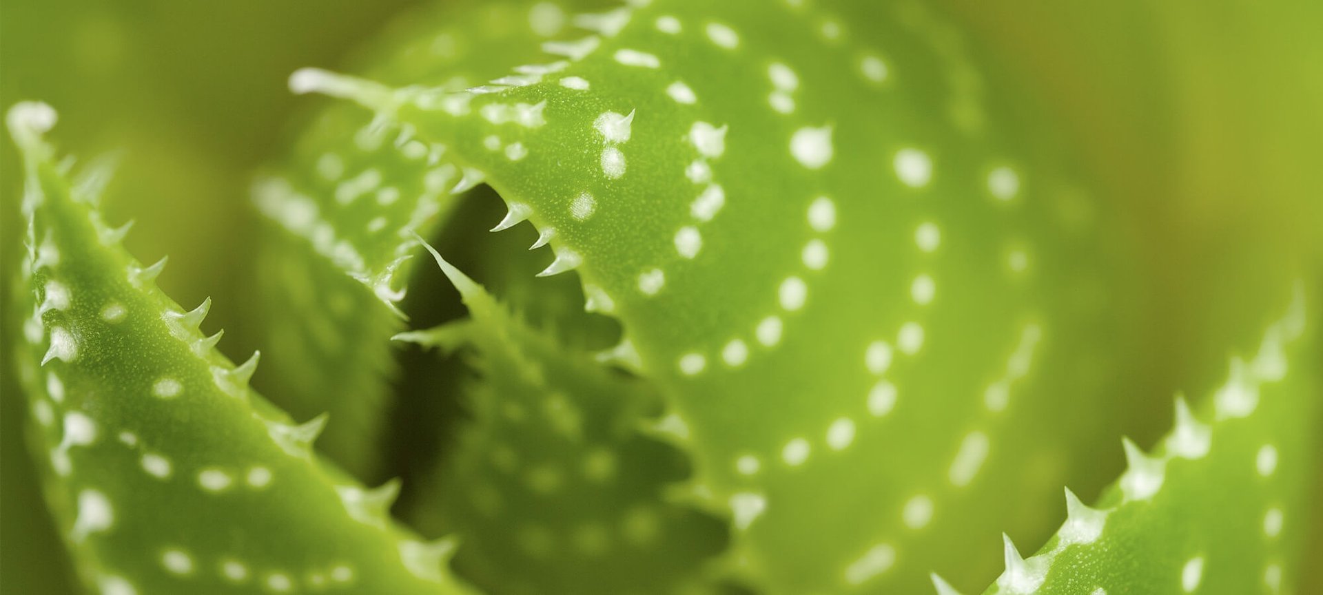 New Beauty Treatments To Instantly Turn Back Time Hero