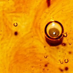 BANNERS CAFFEINE